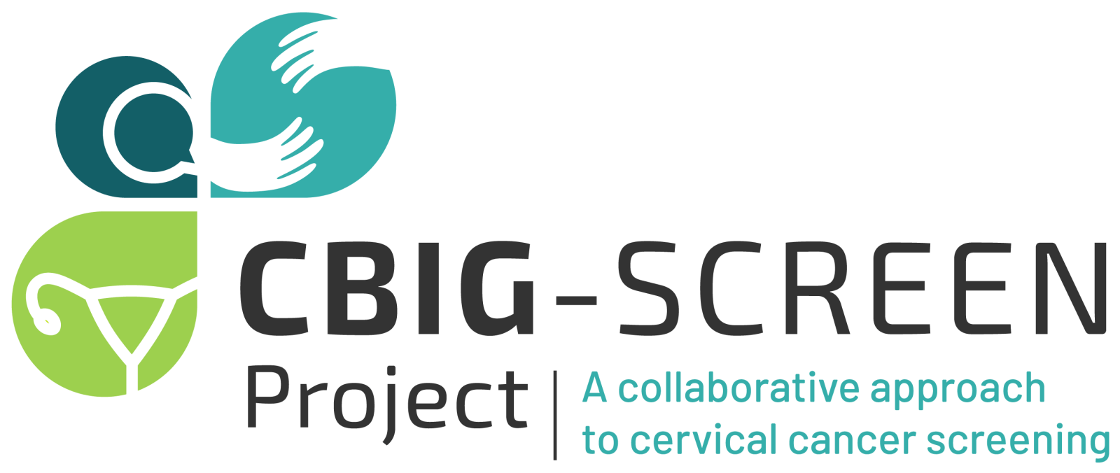 Working collaboratively with vulnerable women to identify the best implementation gains by screening cervical cancer more effectively in European countries